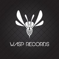 Wasp Records (@wasp_records) 's Twitter Profile Photo