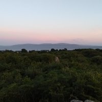 Neil O'Leary (@lycraolaoghaire) 's Twitter Profile