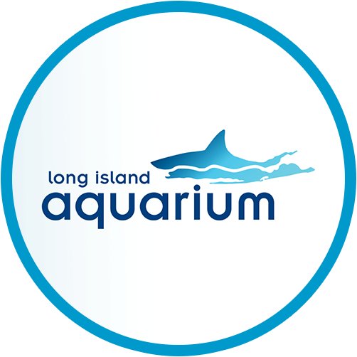 Keep up with everything going on at one of Long Island’s most popular year-round attractions. #LongIslandAquarium 🐟             TikTok: longislandaquarium