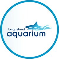 Long Island Aquarium(@LIaquarium) 's Twitter Profile Photo