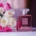 ام تركي (@umturky700) 's Twitter Profile Photo ام تركي (@umturky700) 's Twitter Profile Photo