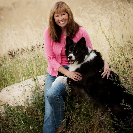 Border Collie family. BC breeder providing exceptional service dogs for Veterans and family pets.
Love really does come on four paws...