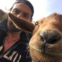 Jerry Brunskill (@twitskill) 's Twitter Profile