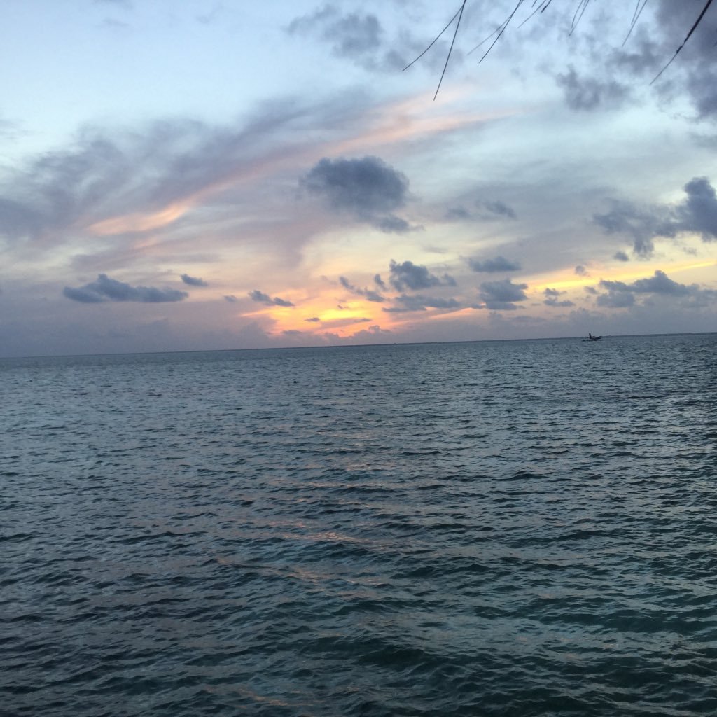 Tchil02's profile picture. Tu as tout miser sur cette vie, alors que tu n’étais que de passage.