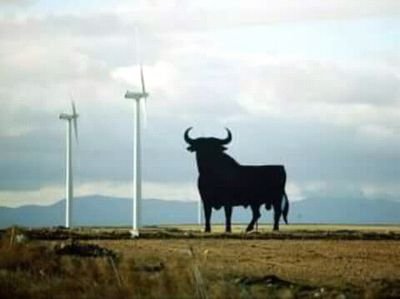 RamonRi55737107's profile picture. Viejo es el viento, pero sigue soplando