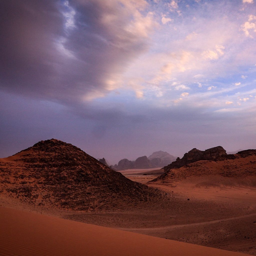 anniesland74's profile picture. 