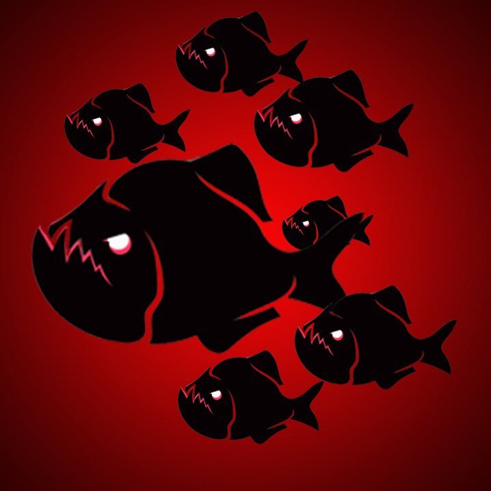 cryptopiranhas's profile picture. 