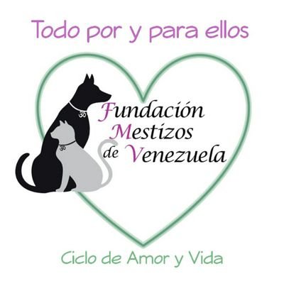 Promovemos el Cuidado, Protección y Defensa Animal 🐕🐈NO somos refugio, NO tenemos sede!!
#TodoPoryParaEllos
    💱💱 PayPal: mestizos.de.venezuela@gmail.com