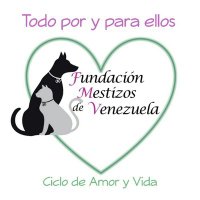 Mestizos de Vzla(@MestizosdeVzla) 's Twitter Profileg