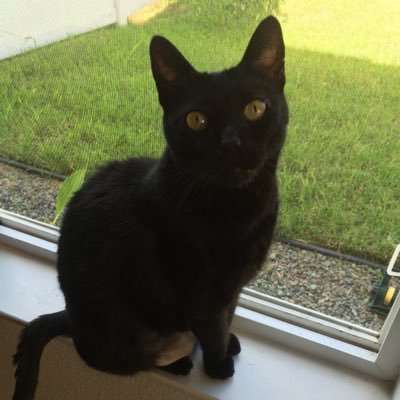 kremtok's profile picture. Wait, I had something for this...