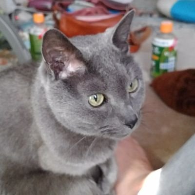 SBsQiLPp73dHNhT's profile picture. ユニバ好き／旅行代好き／ドライブ好き／謎解き好き／リアル脱出ゲーム好き
＃メイ当選報告
https://t.co/MrouuABUw0

https://t.co/fi0lr4utKe?