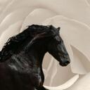 Ebony Park - @ebonyparkstud - Twitter