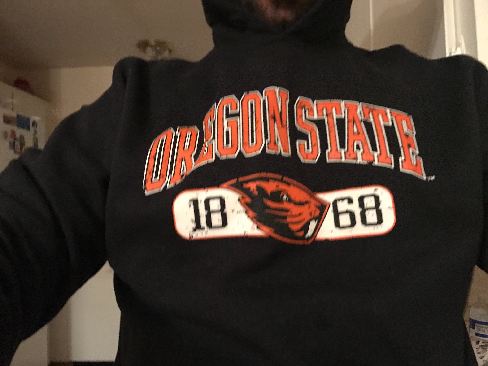 dillards champion hoodie
