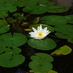 Miguel Equihua (@dreqologia) Twitter profile photo