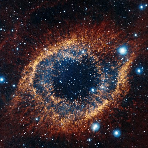 carlodiban's profile picture. Lifelong coder🧑🏻‍💻| minimalista digital🖥 | Hincha azul💙🦉 #cryptocurrencies