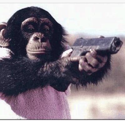 en_sa1's profile picture. 趣味垢