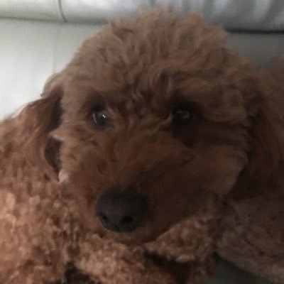 DGpiVEbqlCzJJ9U's profile picture. こんにちは！