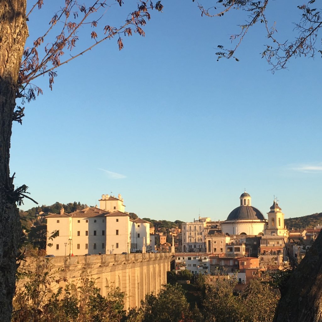 L'Associazione omonima assicura servizi di custodia, guide e biglietteria all'interno del meraviglioso Palazzo Chigi di #Ariccia.