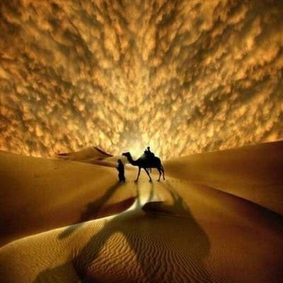 moyhaziel's profile picture. 