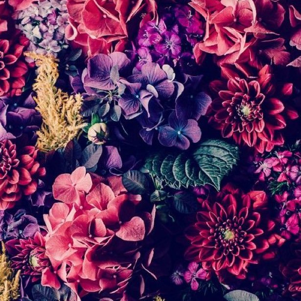 HadeelSilsilah's profile picture. Vice Dean of College of Engineering Students Affairs.Assistant Professor of Design.Taibah University.MSc Branding and design strategy. and PhD Design ResearchUK