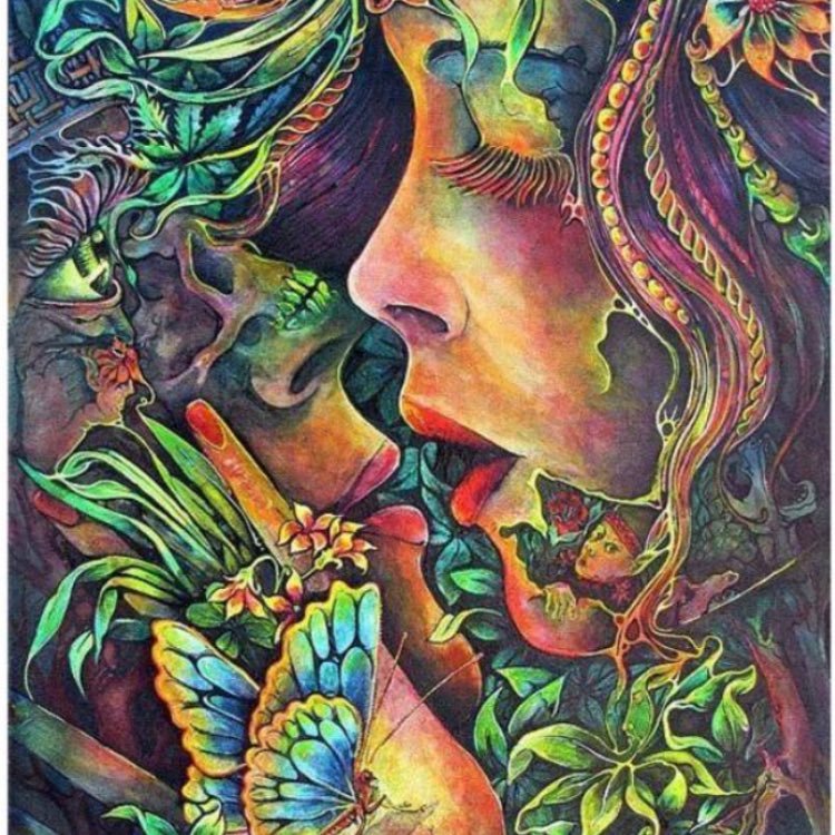 Summersalt69's profile picture. 