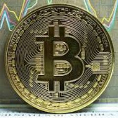 xCryptocoinx's profile picture. 