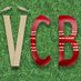 Village Cricket Blog (@The_VCB) Twitter profile photo