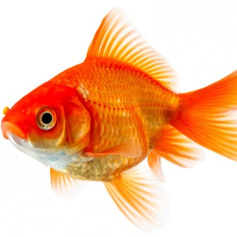 NAYEEM777KHAN's profile picture. 