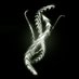 Petr Zemek (@s3rvac) Twitter profile photo