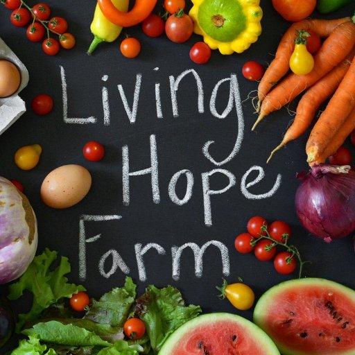 Certified Naturally Grown Produce Farm ~ Non-Profit