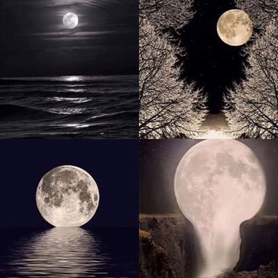 Cristin8453837's profile picture. 