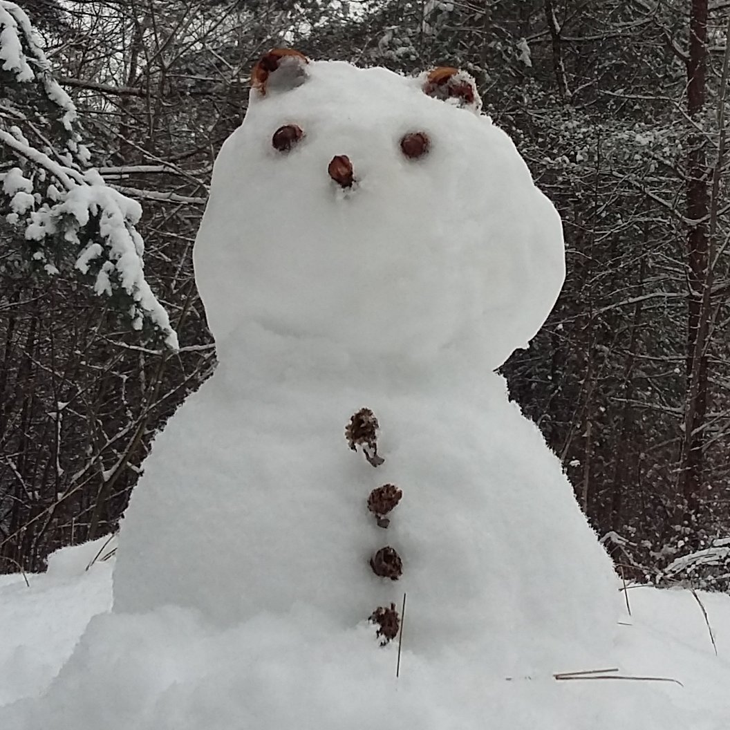 FreetomNow's profile picture. Kritik ist reine Vernunft