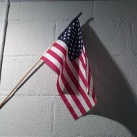 Brandon Scott Sims Patriot(@SimsPatriot) 's Twitter Profile Photo