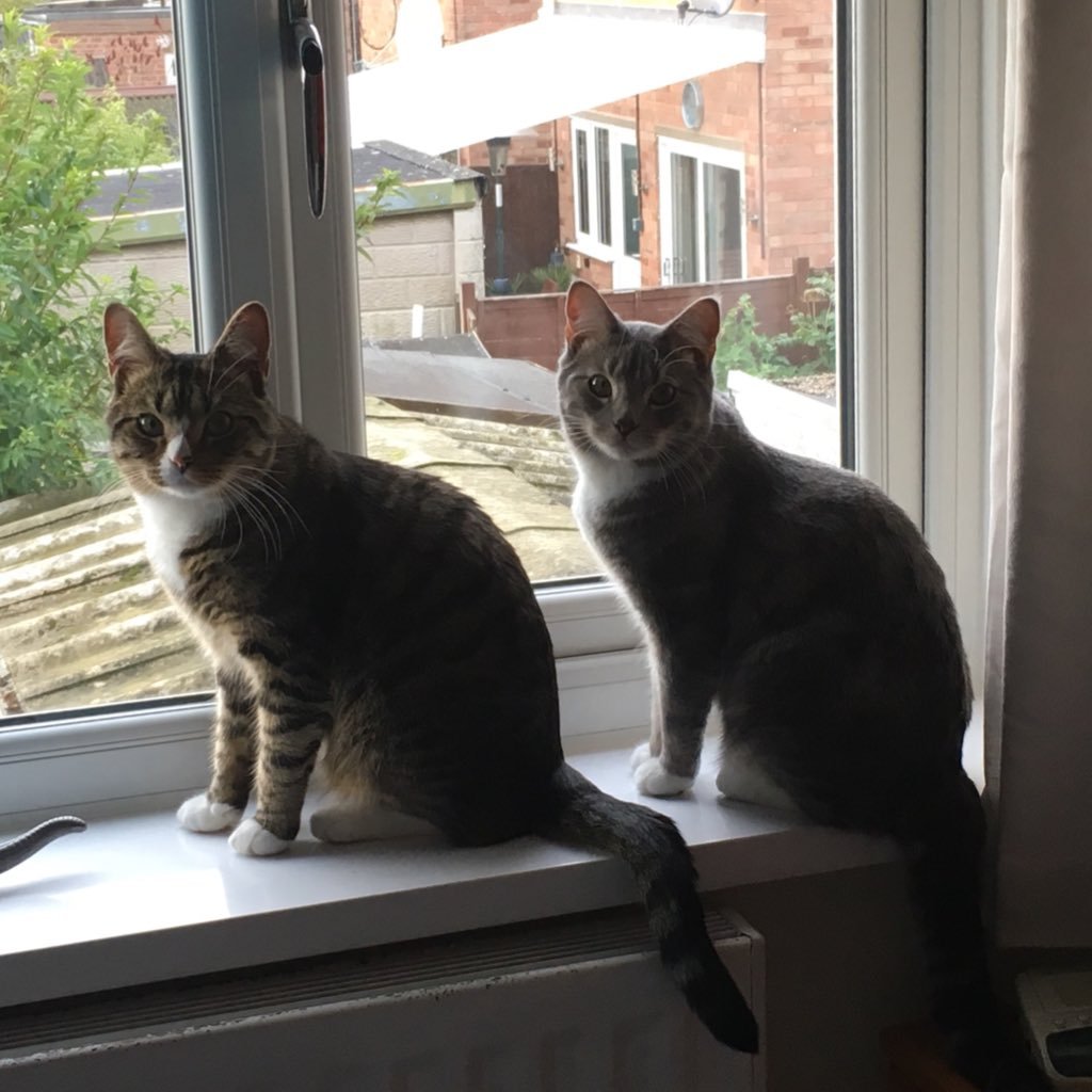 rebeldrank's profile picture. #awesomeness