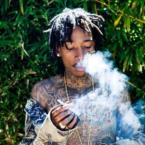 awelker6's profile picture. Awel