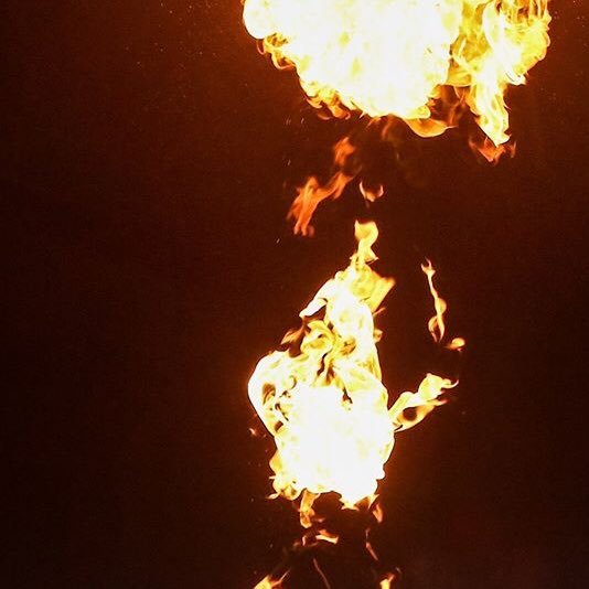 vbos_'s profile picture. 