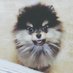 旻.MIN •̀ㅅ•́ 🐾 (@0freestyle0) Twitter profile photo 旻.MIN •̀ㅅ•́ 🐾 (@0freestyle0) Twitter profile photo