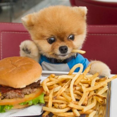 tacoforlunch's profile picture. 