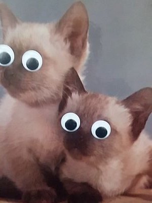 getmeagame's profile picture. Bet like a Fish. Act like a Whale. Keep on swimming.