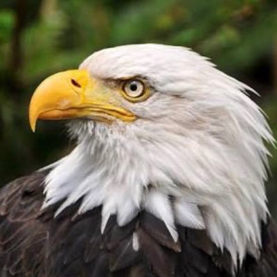 rivrivci_m's profile picture. 