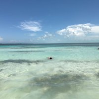 Cane (@canefps) 's Twitter Profile