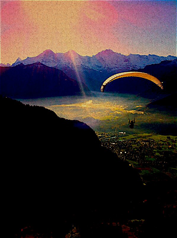 Moanafox's profile picture. 