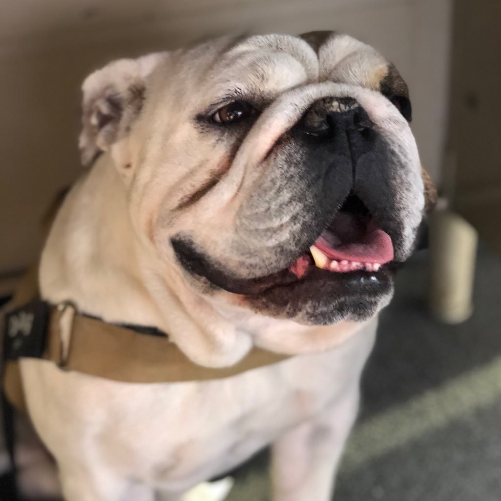 GKnowsU's profile picture. Tired of the Bullshit, Living deep inside the Communist Stronghold of SoCal. Can be highly offensive, Deal with it or move on.