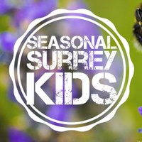 Seasonal Surrey Kids(@SeasonalKids) 's Twitter Profile Photo