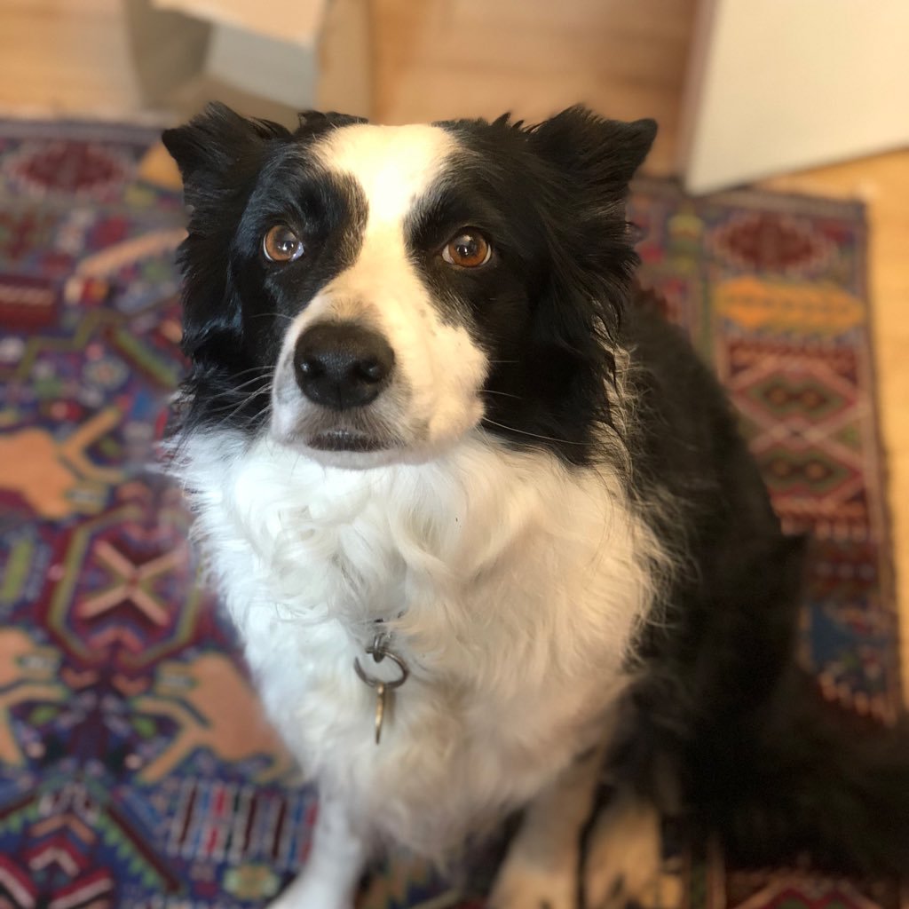 paul_ison's profile picture. Keeping it together.