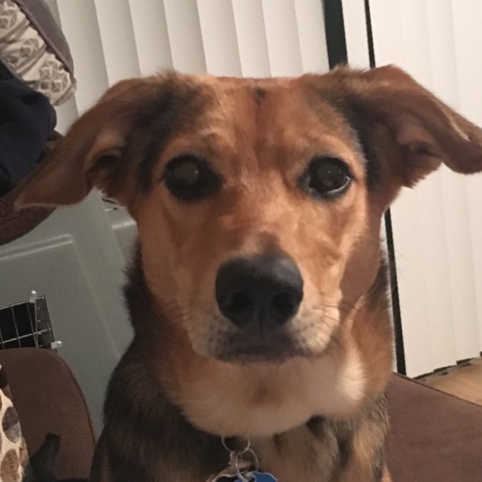 delaney_bagley's profile picture. 