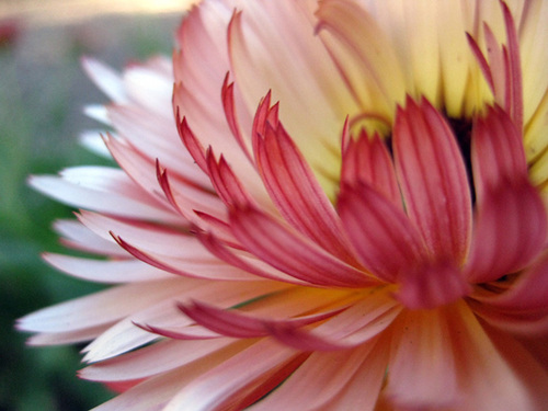 antsonmyspoon's profile picture. 