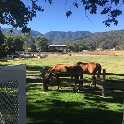 StarrelsD's profile picture. You may say I'm a dreamer But I'm not the only one I hope someday you'll join us And the world will live as one