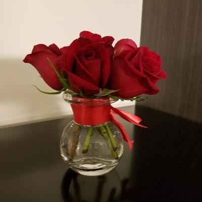 Jodi42's profile picture. happy