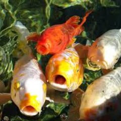 bethlopez020808's profile picture. 